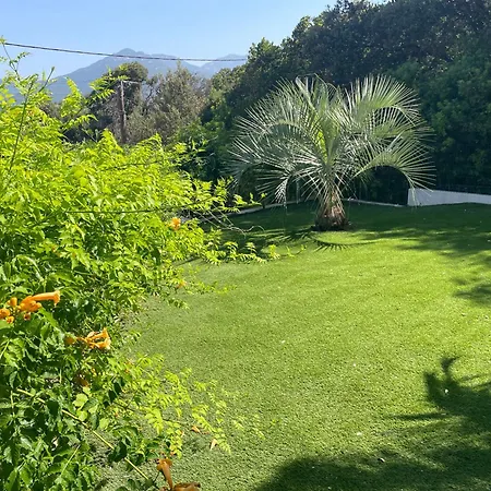 De Charme A Propriano, Vue Sur Le Golfe Viggianello