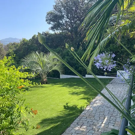 Apartment De Charme A Propriano, Vue Sur Le Golfe Viggianello