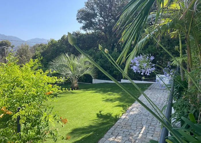 Apartamento De Charme à Propriano, Vue Sur Le Golfe Viggianello